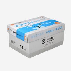 蓝多林复印纸 A4 80G  10包/箱  500张/包