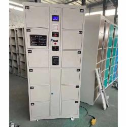 国产 储物柜12格浅灰色 尺寸:850*460*1800mm