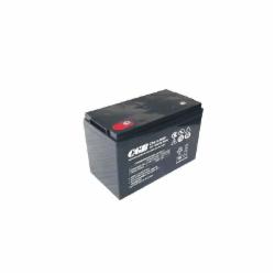 长光(CGB)CBL121000 12V100AH 免维护铅酸蓄电池(5年原厂质保)